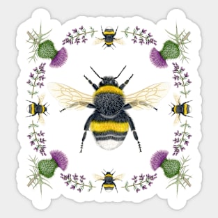 Bumblebee & Thistles Sticker